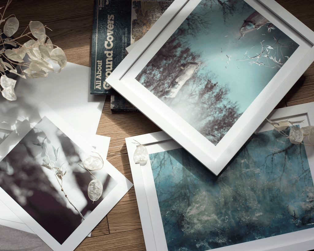 Product shot of framed and unframed art prints. The prints feature nature related imagery.