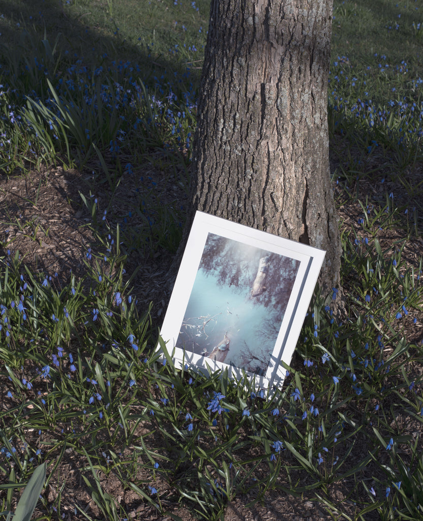 Product shot of framed art print against a tree trunk featuring turtles.